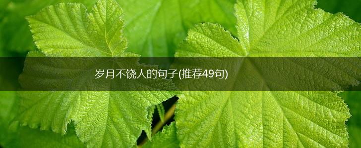 岁月不饶人的句子(推荐49句),第1张