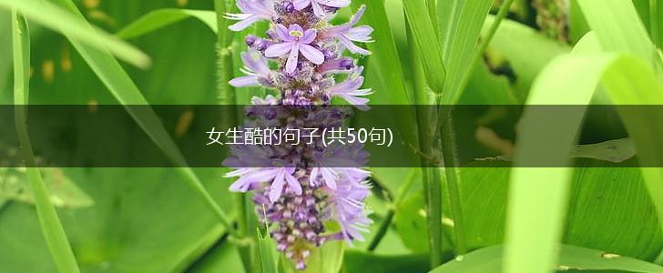 女生酷的句子(共50句),第1张