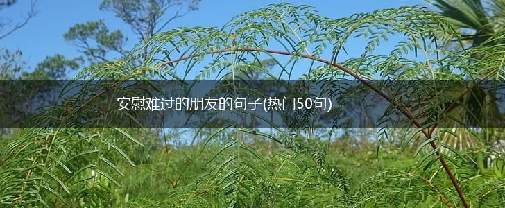 安慰难过的朋友的句子(热门50句),第1张