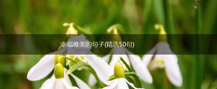 幸福唯美的句子(精选50句),第1张