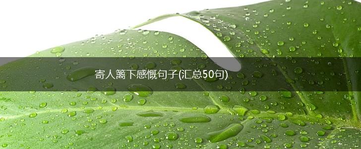 寄人篱下感慨句子(汇总50句),第1张