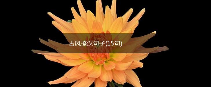 古风撩汉句子(15句),第1张