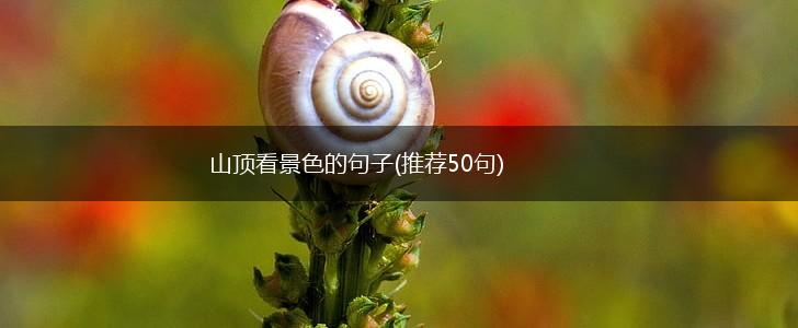山顶看景色的句子(推荐50句),第1张