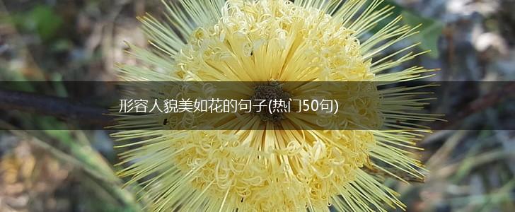 形容人貌美如花的句子(热门50句),第1张