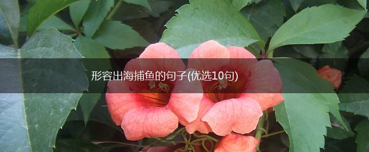 形容出海捕鱼的句子(优选10句),第1张
