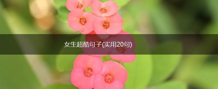 女生超酷句子(实用20句),第1张