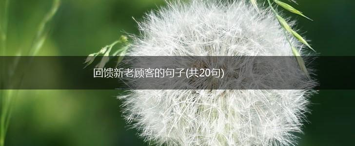 回馈新老顾客的句子(共20句),第1张