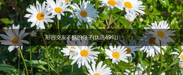 形容交友不慎的句子(优选49句),第1张