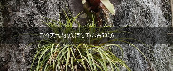 形容天气热的英语句子(必备50句),第1张