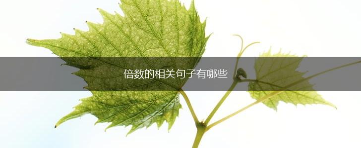 倍数的相关句子有哪些,第1张