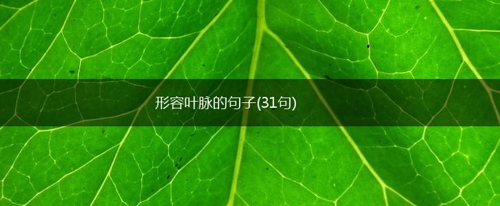 形容叶脉的句子(31句),第1张