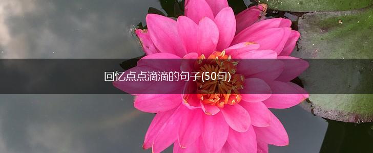 回忆点点滴滴的句子(50句),第1张