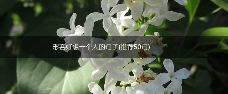 形容好想一个人的句子(推荐50句),第1张