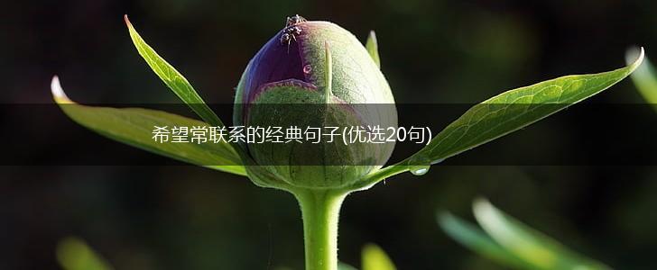 希望常联系的经典句子(优选20句),第1张
