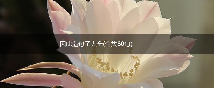 因此造句子大全(合集60句),第1张