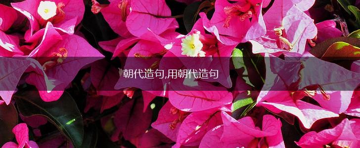 朝代造句,用朝代造句,第1张