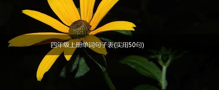 四年级上册单词句子表(实用50句),第1张