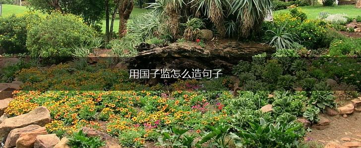 用国子监怎么造句子,第1张