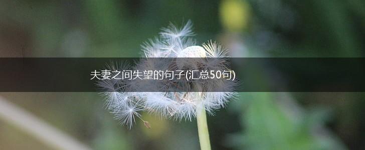 夫妻之间失望的句子(汇总50句),第1张