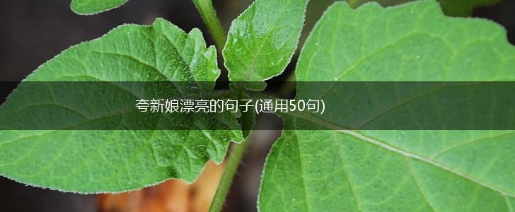夸新娘漂亮的句子(通用50句),第1张