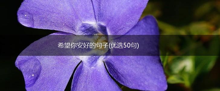 希望你安好的句子(优选50句),第1张
