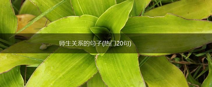 师生关系的句子(热门20句),第1张