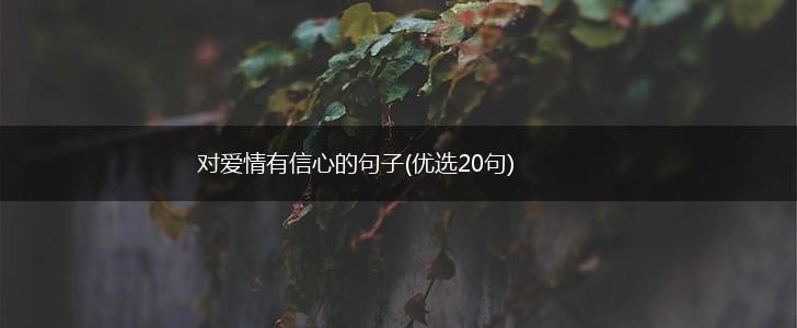 对爱情有信心的句子(优选20句),第1张