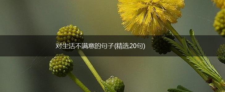对生活不满意的句子(精选20句),第1张