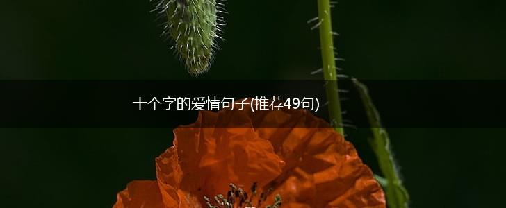 十个字的爱情句子(推荐49句),第1张
