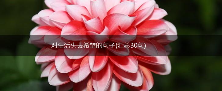 对生活失去希望的句子(汇总30句),第1张