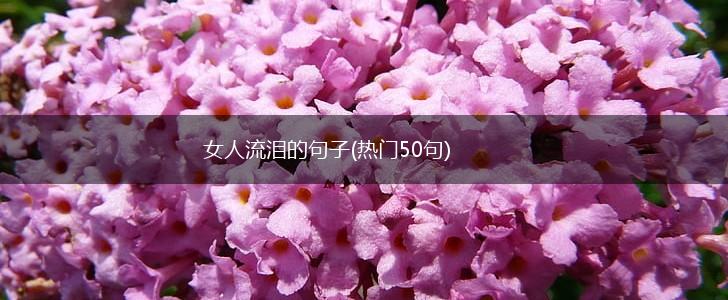 女人流泪的句子(热门50句),第1张