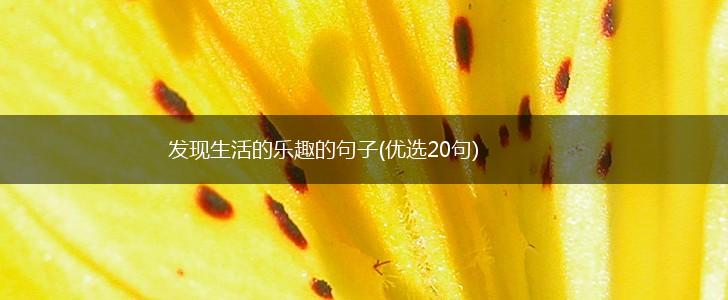 发现生活的乐趣的句子(优选20句),第1张