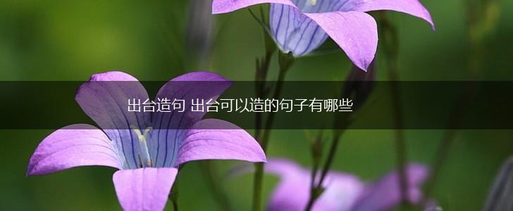 出台造句 出台可以造的句子有哪些,第1张