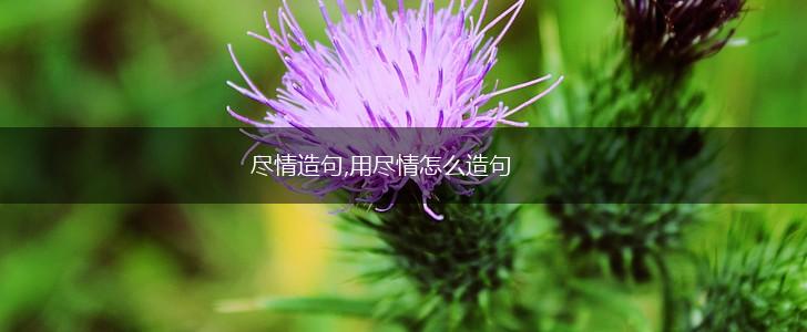 尽情造句,用尽情怎么造句,第1张