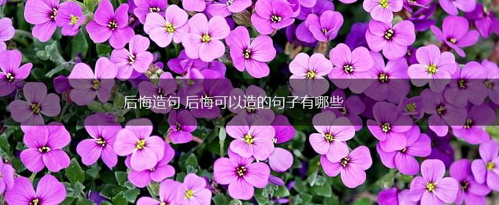 后悔造句 后悔可以造的句子有哪些,第1张