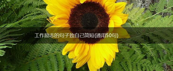 工作励志的句子致自己简短(通用50句),第1张