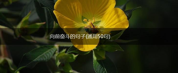 向前奋斗的句子(通用50句),第1张