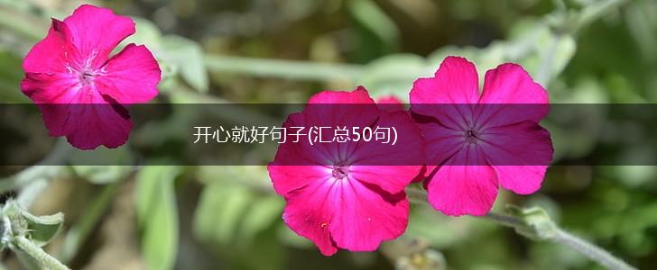 开心就好句子(汇总50句),第1张