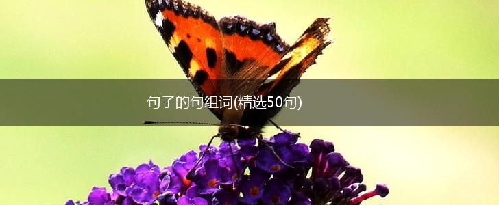 句子的句组词(精选50句),第1张