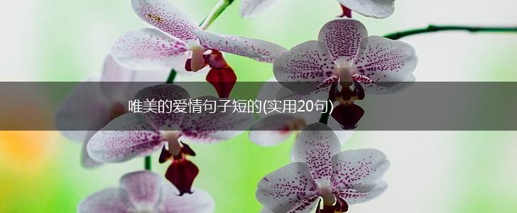 唯美的爱情句子短的(实用20句),第1张