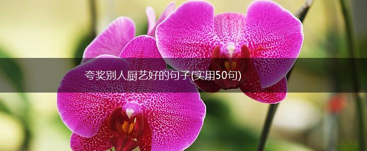 夸奖别人厨艺好的句子(实用50句),第1张
