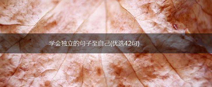 学会独立的句子至自己(优选42句),第1张
