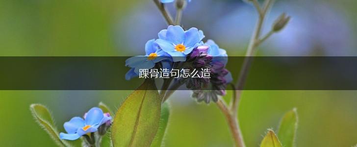 踝骨造句怎么造,第1张