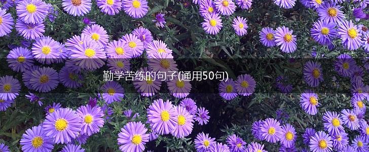 勤学苦练的句子(通用50句),第1张
