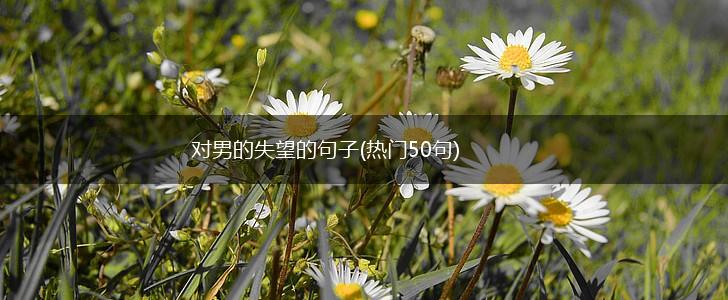 对男的失望的句子(热门50句),第1张