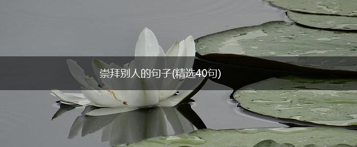 崇拜别人的句子(精选40句),第1张