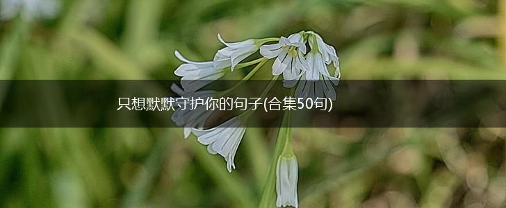 只想默默守护你的句子(合集50句),第1张