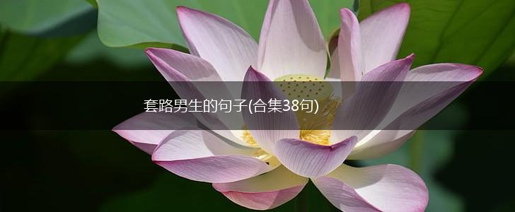 套路男生的句子(合集38句),第1张