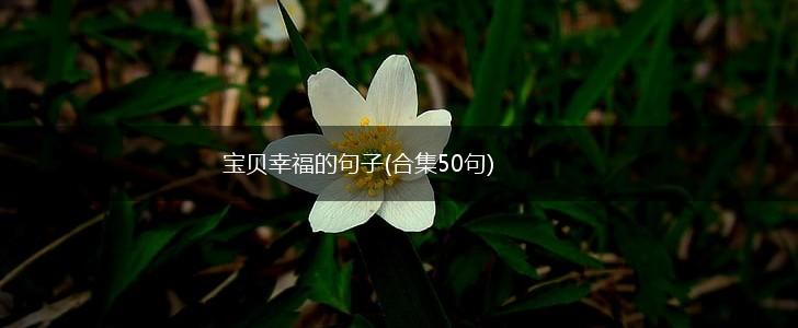 宝贝幸福的句子(合集50句),第1张