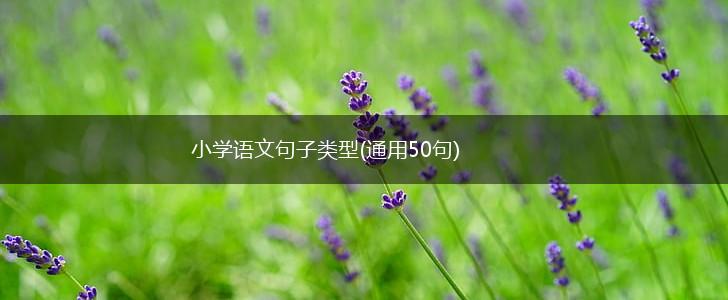 小学语文句子类型(通用50句),第1张